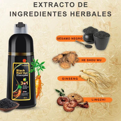 SHAMPOO TINTE 3 EN 1 UNISEX CUBRE CANAS + ENVÍO GRATIS 🎁