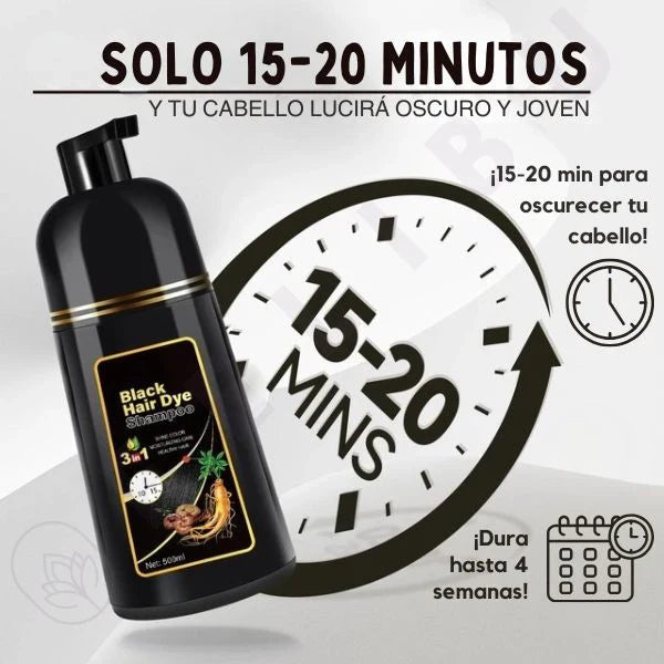 SHAMPOO TINTE 3 EN 1 UNISEX CUBRE CANAS + ENVÍO GRATIS 🎁